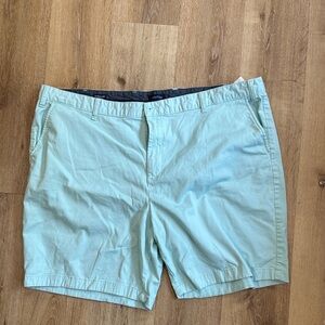 Light Green Nautical Men's Big and Tall Shorts